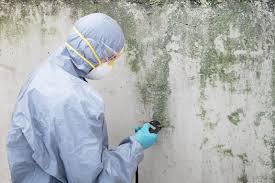 Best Emergency Mold Remediation  in Falcon Heights, MN